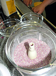 In Rosen schwelgen - 2006 - Bild Nr.17