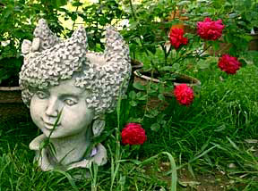 Impressionen aus meinem Rosengarten, Bild Nr.3