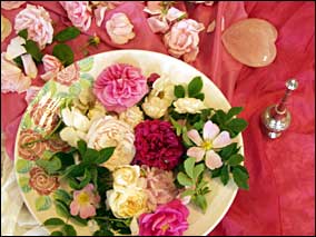 Zauber der Rose 2004 - Bild Nr. 6